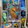 Huge Sea Horse Blanket
