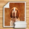 Bracco Italiano Blanket