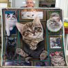 Huge Cat Blanket