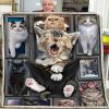 Huge Cat Blanket