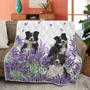 Borde Collie Quilt Blanket