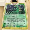 Pokemon Sceptile Ruby Sapphire Blanket
